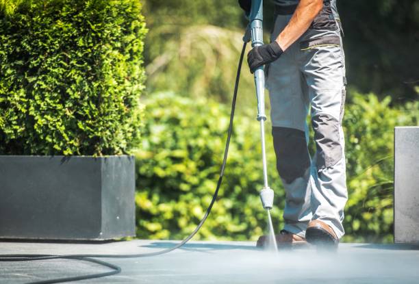 Best Fence Cleaning  in Clendon, AR