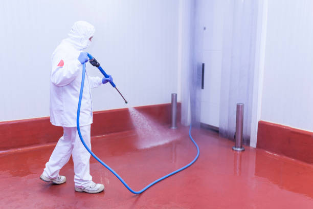 Boat and Dock Cleaning in Clarendon, AR