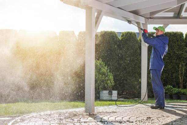 Best Dumpster Area Cleaning  in Clendon, AR